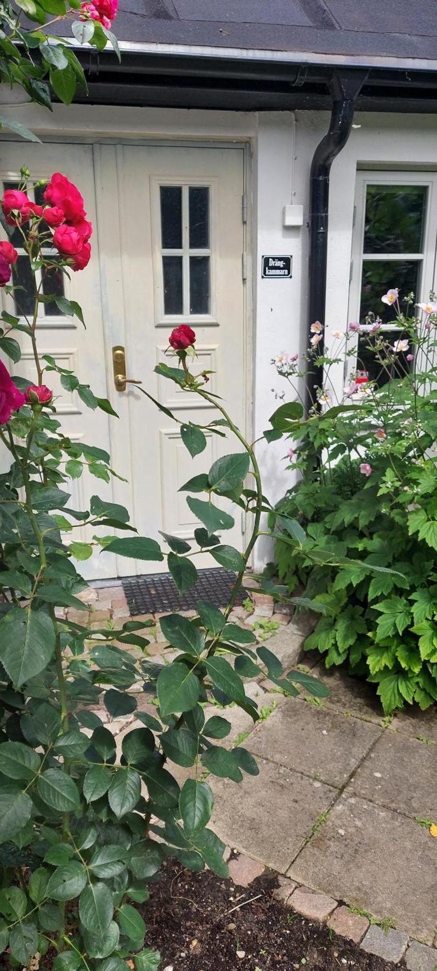 Bjerred B&B Bjarred ภายนอก รูปภาพ