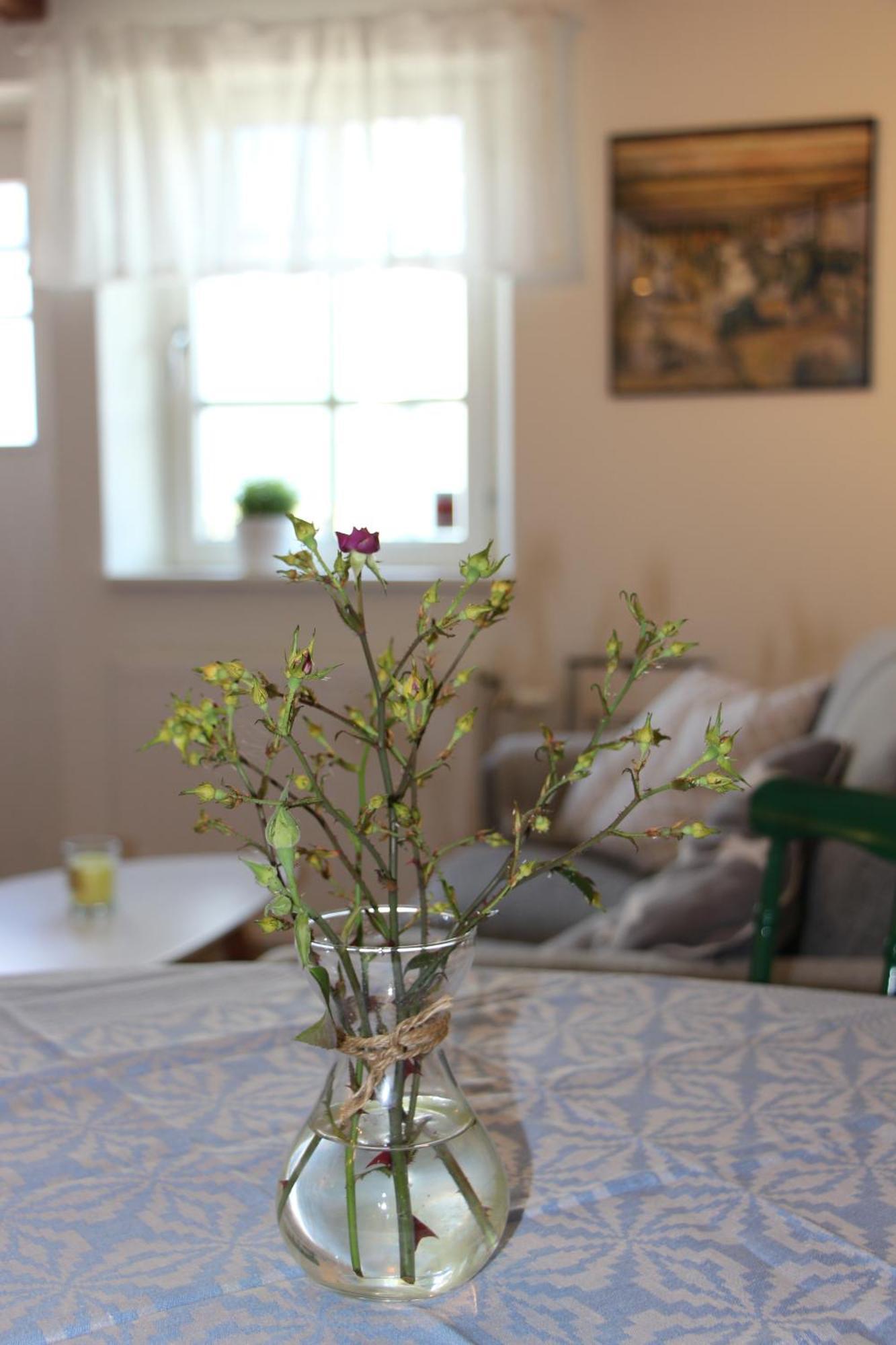 Bjerred B&B Bjarred ภายนอก รูปภาพ