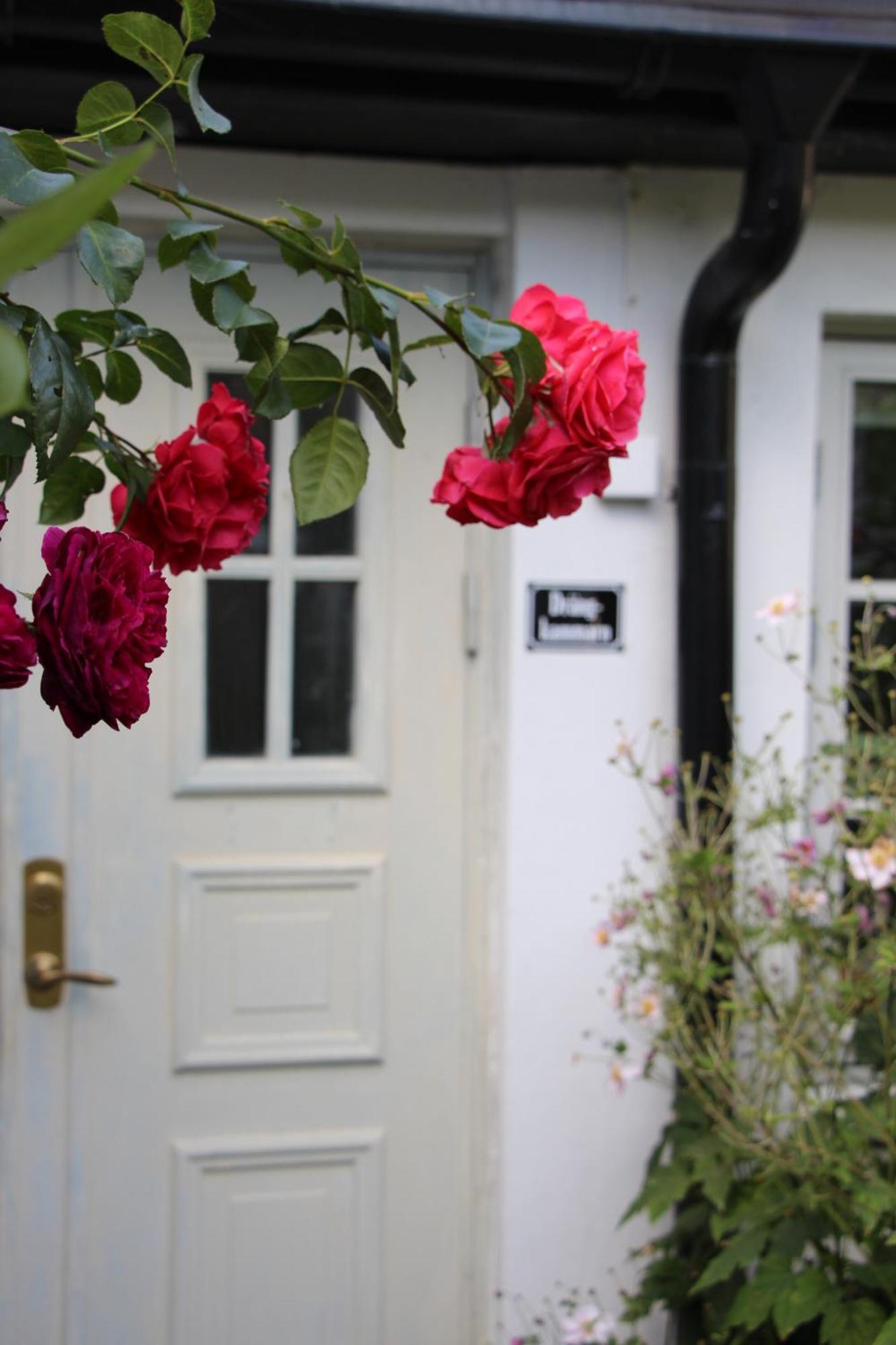 Bjerred B&B Bjarred ภายนอก รูปภาพ