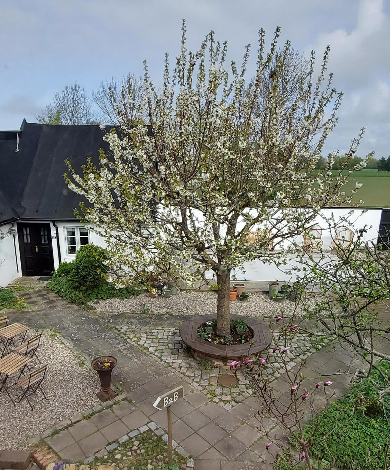 Bjerred B&B Bjarred ภายนอก รูปภาพ